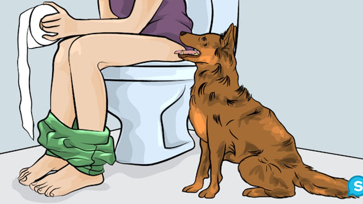 Dit is de reden waarom je hond je elke keer volgt naar de badkamer