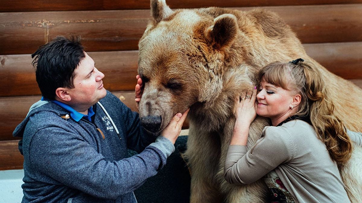 Man raakt bevriend met een beer in de loop der jaren - dan brengt ze haar nieuwe welpen mee om hem te ontmoeten