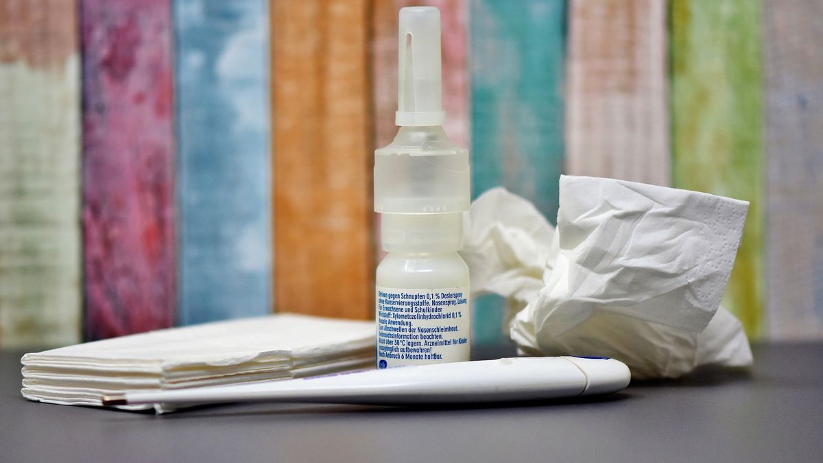 Rotterdamse virologen ontwikkelen neusspray die 24 uur lang tegen corona werkt
