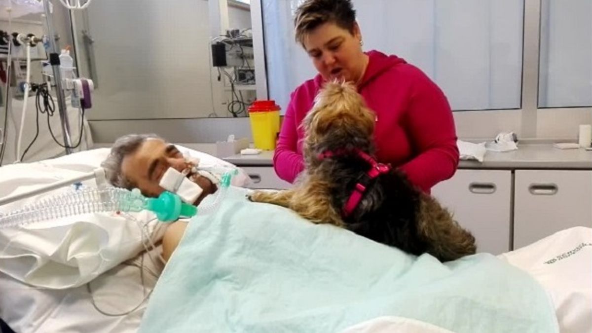 Vader in coma reageert niet op verplegers, maar geeft plotseling een teken als zijn hond hem bezoekt
