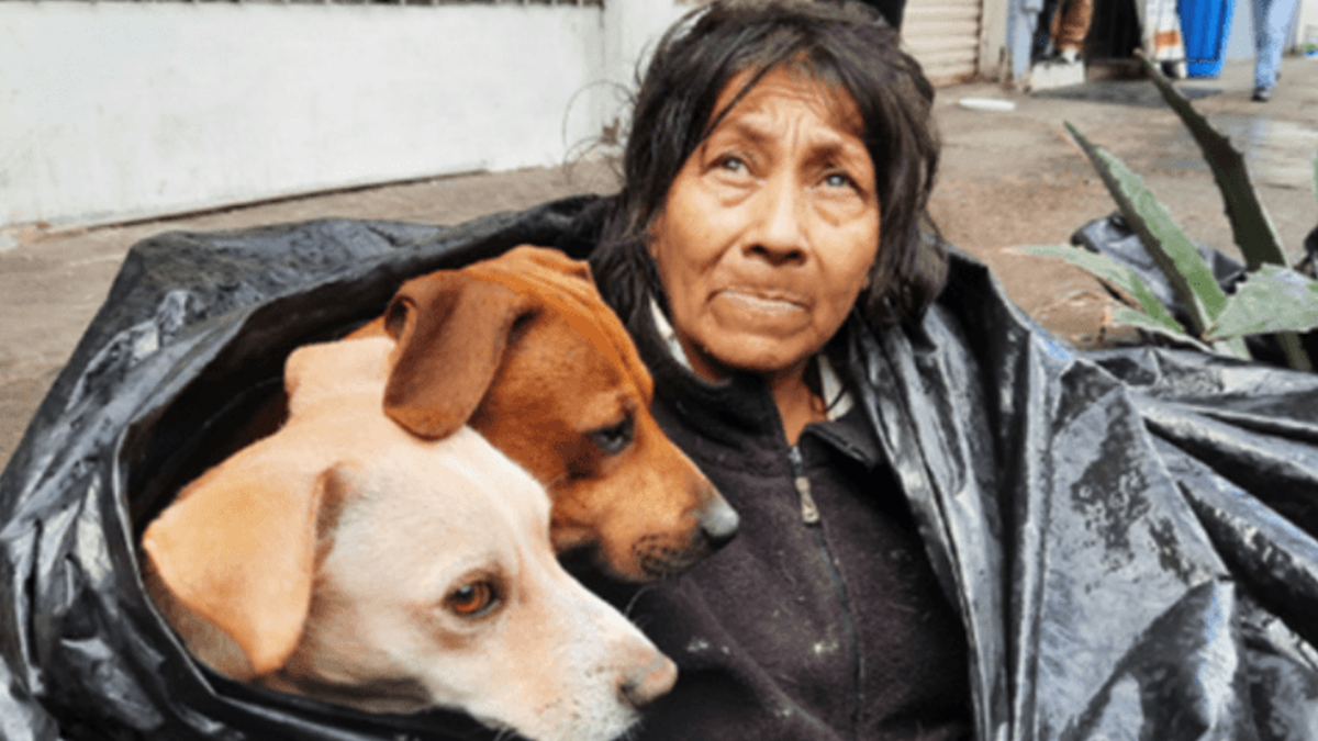 Dakloze vrouw weigert een warm bed bij de opvang zodat ze haar zes honden niet achter hoeft te laten