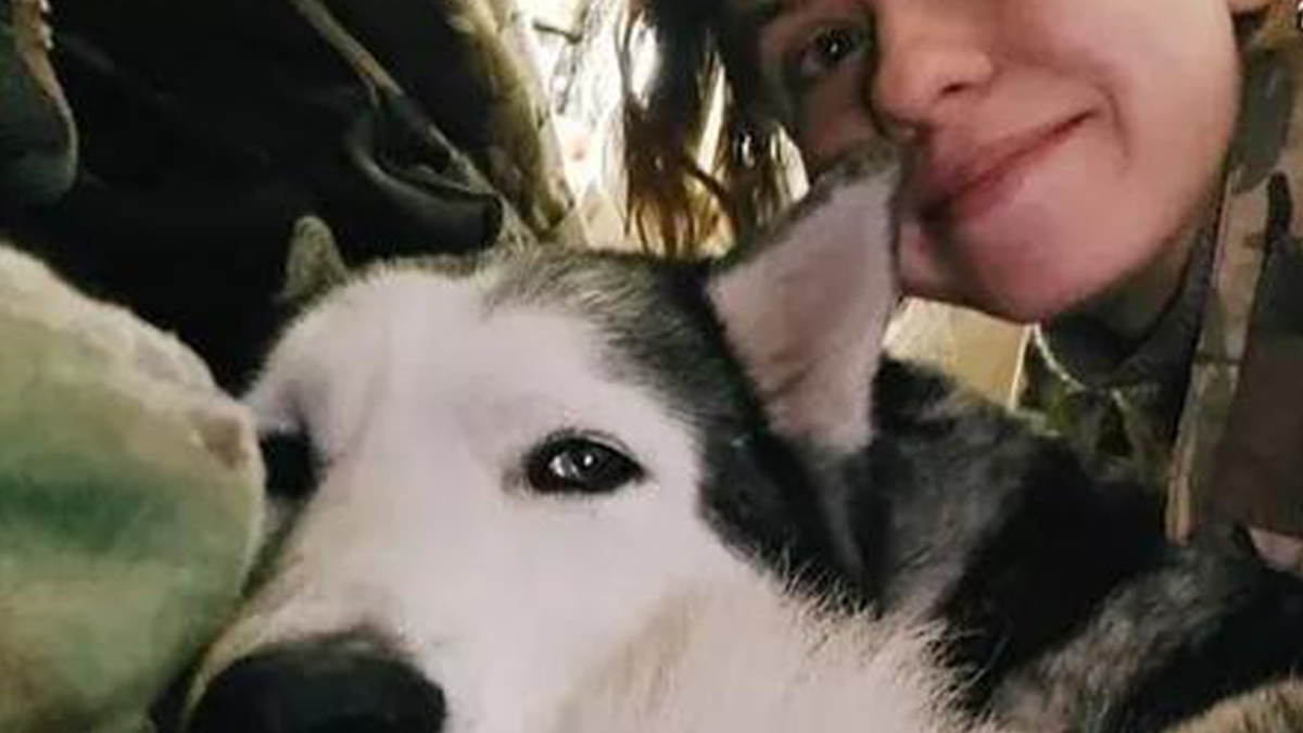 Hond wordt heel emotioneel wanneer ze wordt herenigd met haar baasje nadat ze zoek raakte in Oekraïne