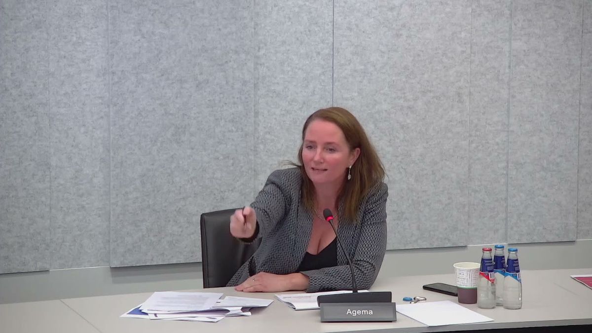 VIDEO: Fleur Agema clasht met Vera Bergkamp: "Jij staat die domme VVD-smoesjes telkens toe!"