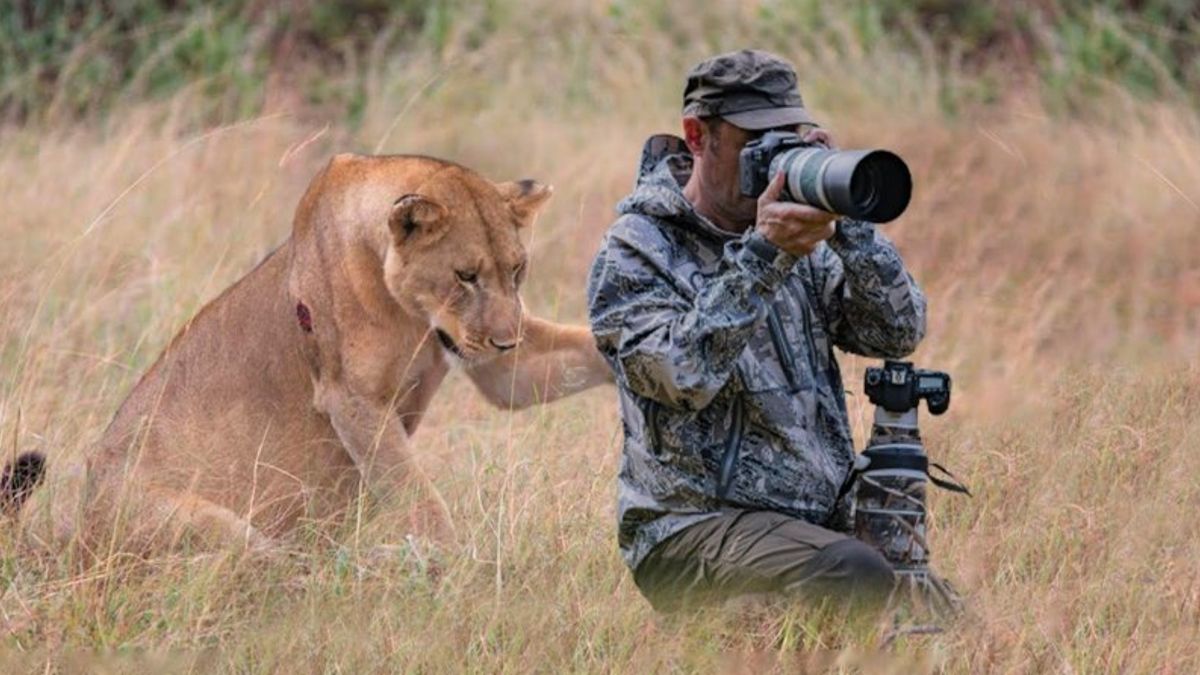 Fotograaf is in shock als hij ontdekt waarom een leeuwin hem om hulp vraagt