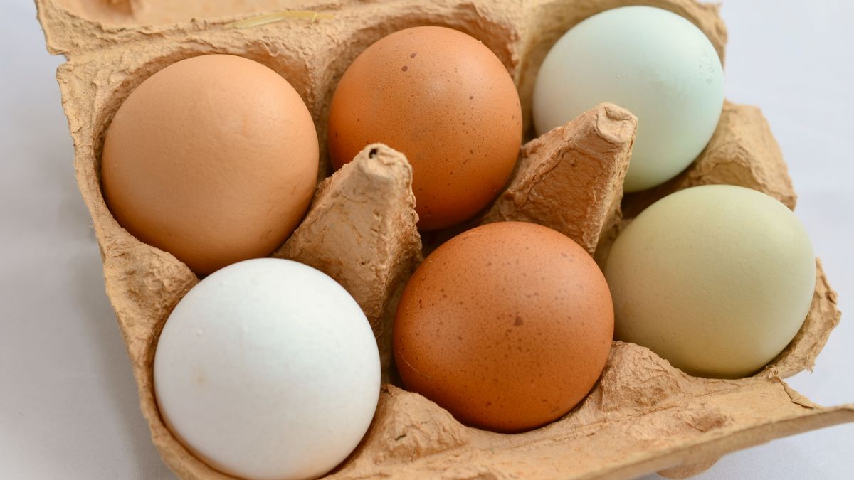 Vrouw doet afschuwelijke ontdekking na aankoop van eierdoosje bij de Aldi