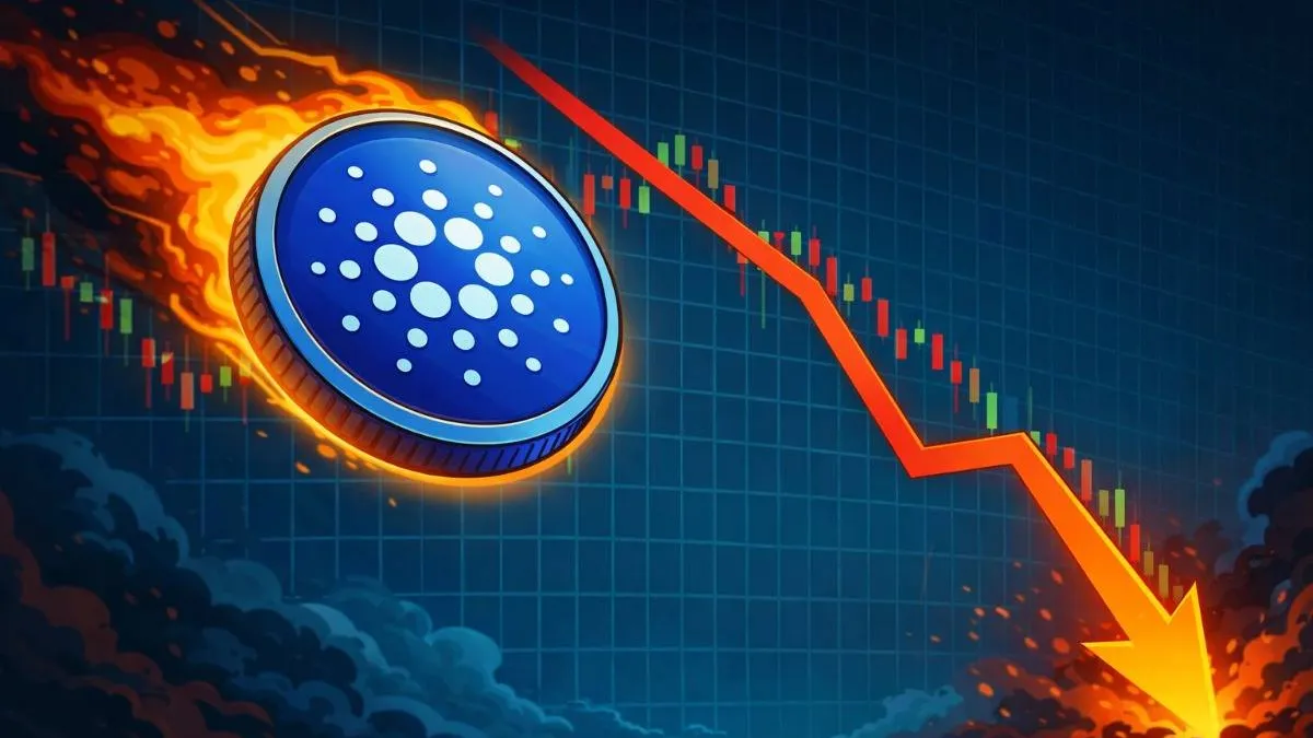 Cardano daalt en ziet 93% van longs geliquideerd worden
