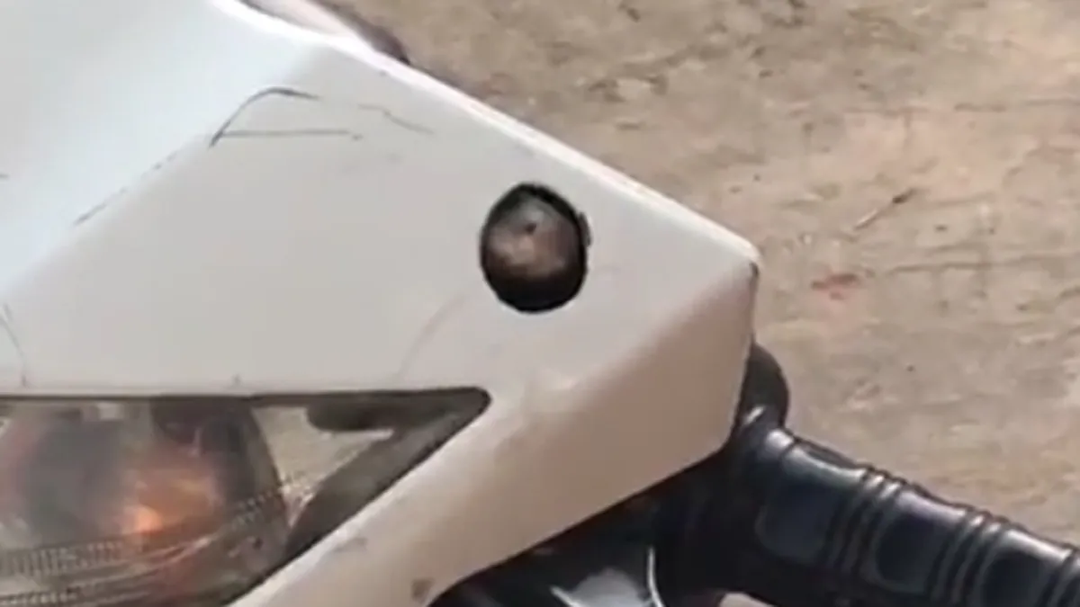 Cobra slang doet lockdown in iemand zijn scootertje