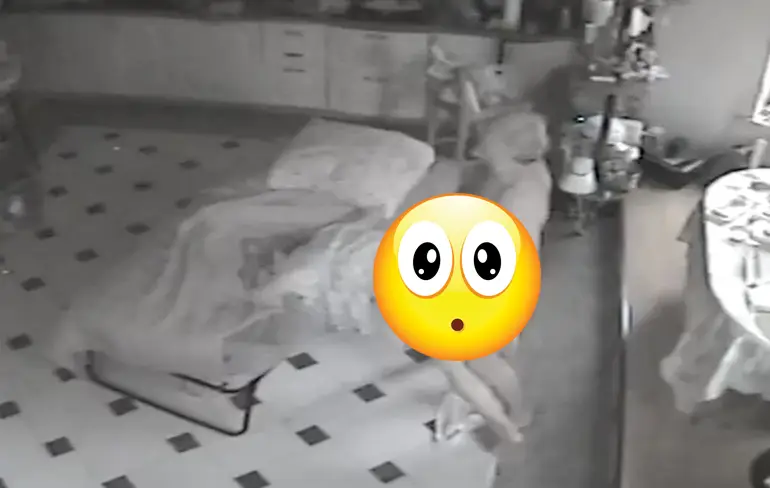 Oude baas heeft acrobatisch hoogtepuntje