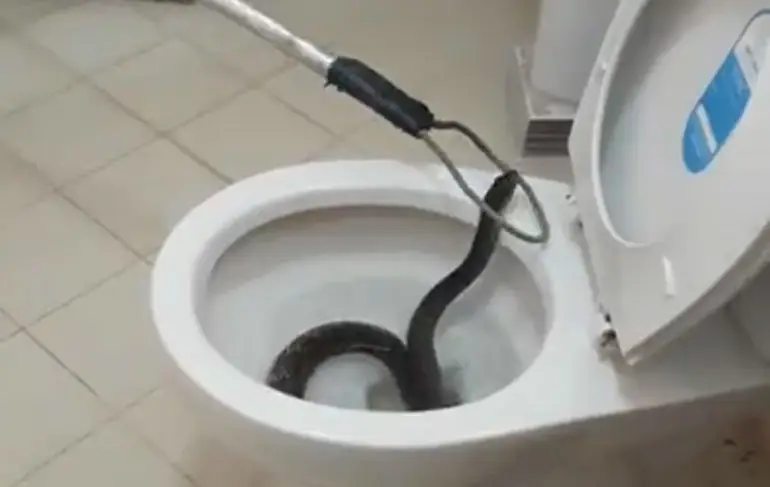 Nooit ontspannen naar het toilet in Khon Kaen