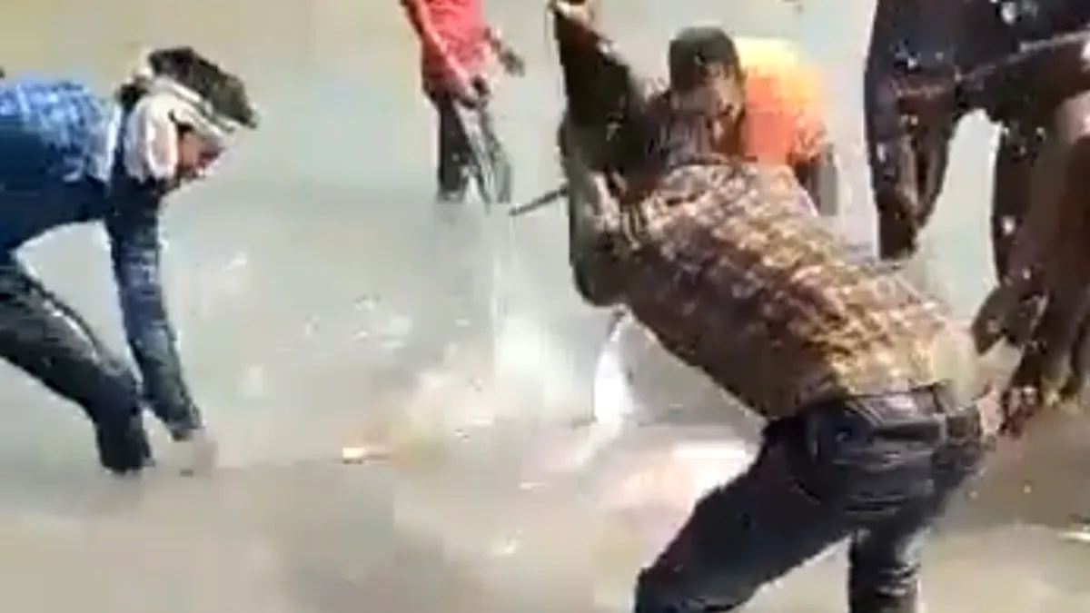 Bewoners Indiaase platteland slaan dolfijn dood