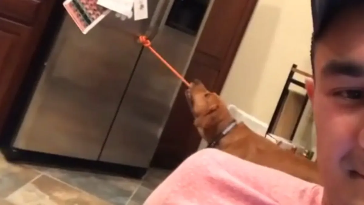 Straatmuzikant voorzag de rellen in Barcelona van een lekker deuntje