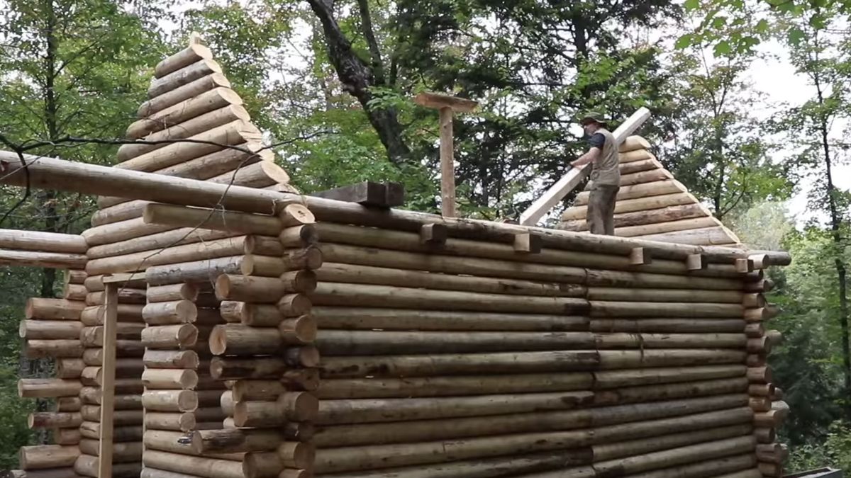 Time-lapse van hut bouwen in Canadees bos