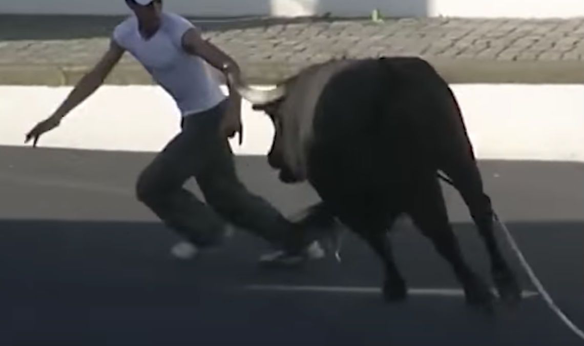 Ozzy Man: People getting fucked by bulls