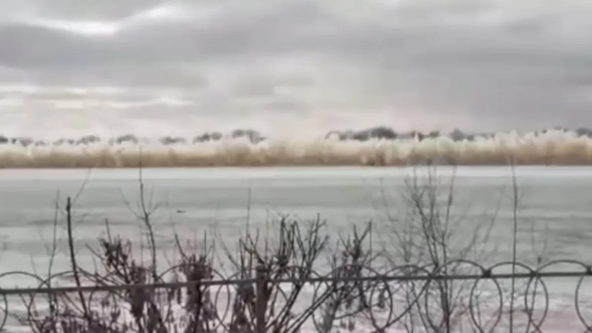 Kijk nu onbeperkt Petflix