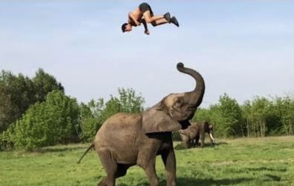 Rene heeft geen trampoline, maar een olifant