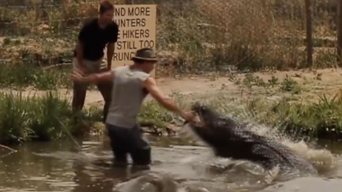 Alligator had bijna hand te pakken tijdens filmen