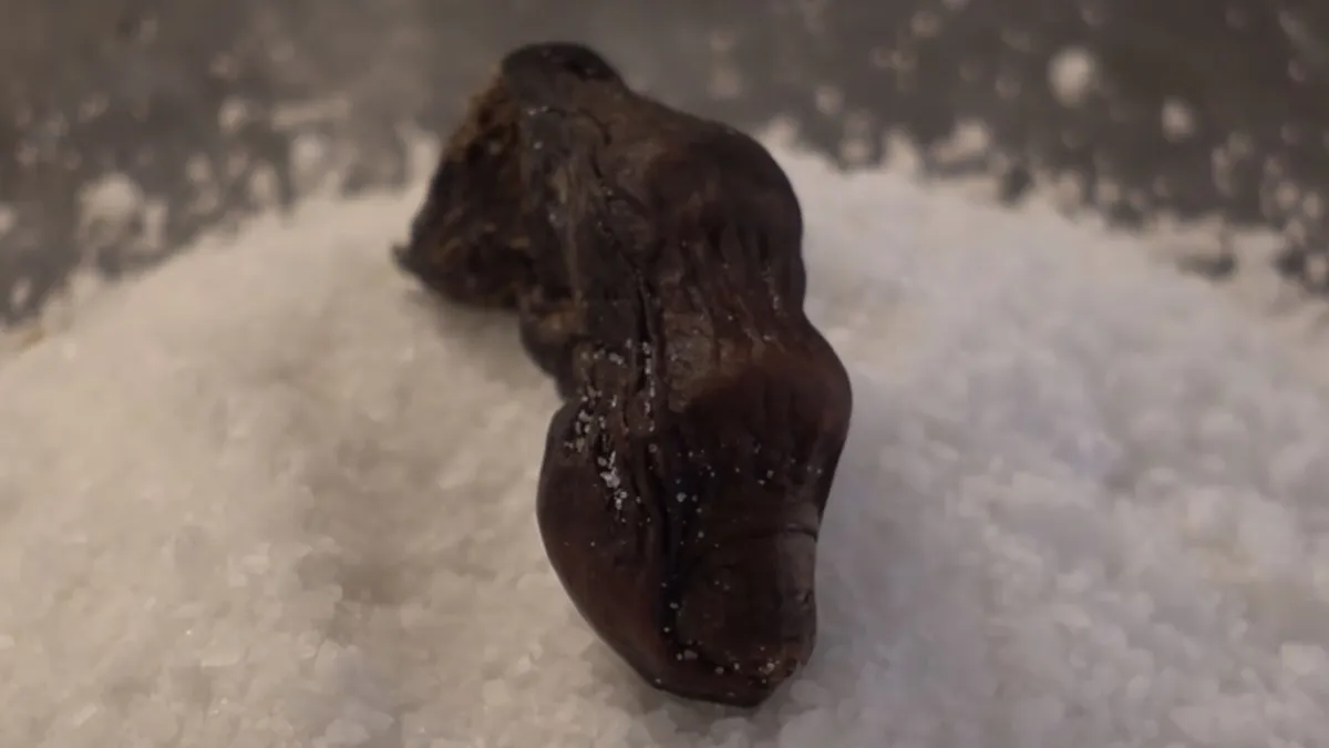 Sourtoe Cocktail met een echte menselijke teen