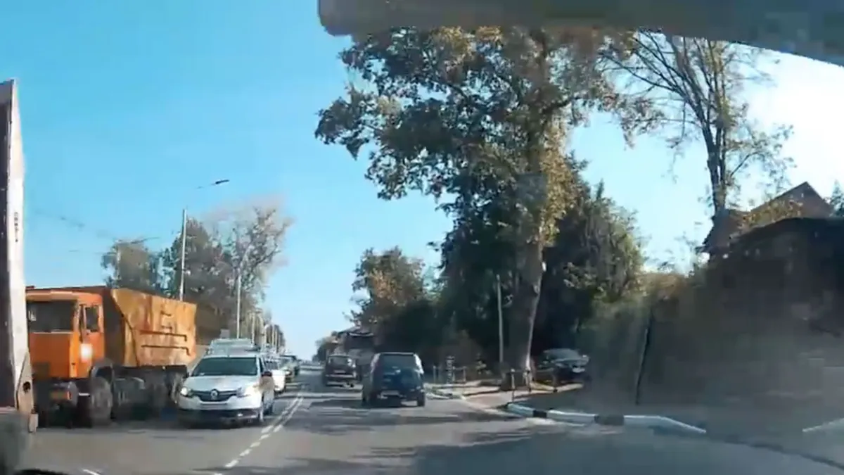 Pats en zeg maar hallo tegen een paal