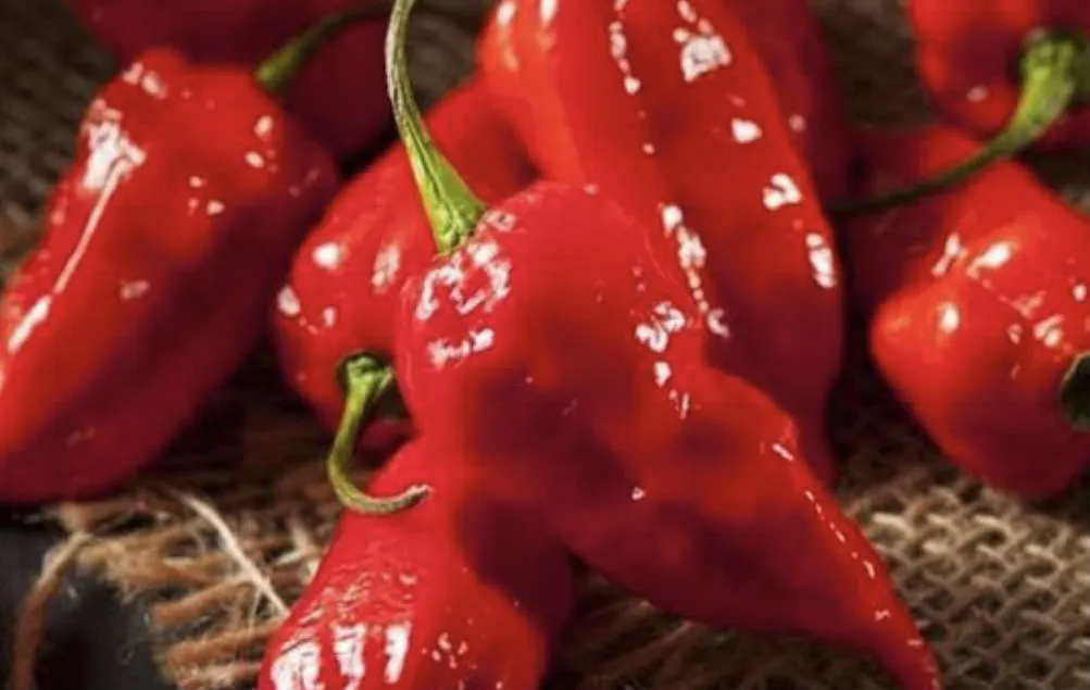 Dronken Thai die van pier viel moest gered worden