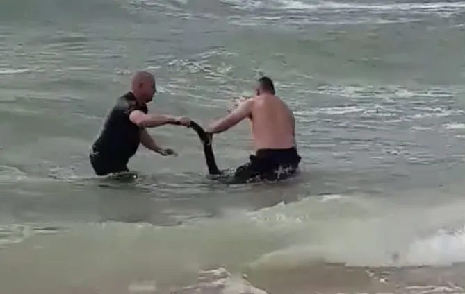 Politie het water in om kangoeroe te redden