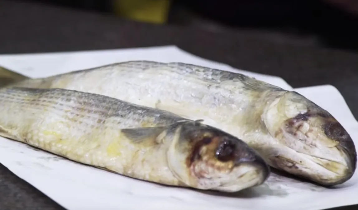 Egyptische dodelijke stinkvis is blijkbaar super lekker