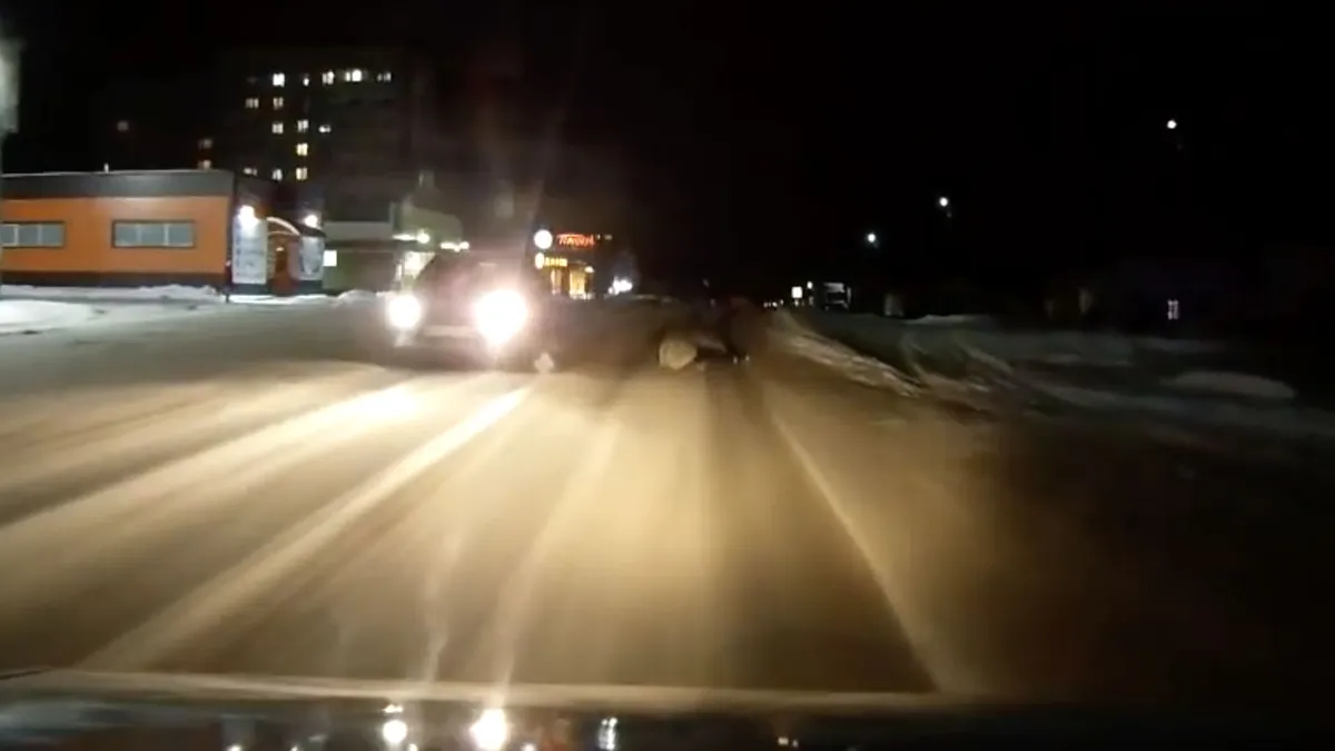 Gast op de weg laat bestuurder schrikken