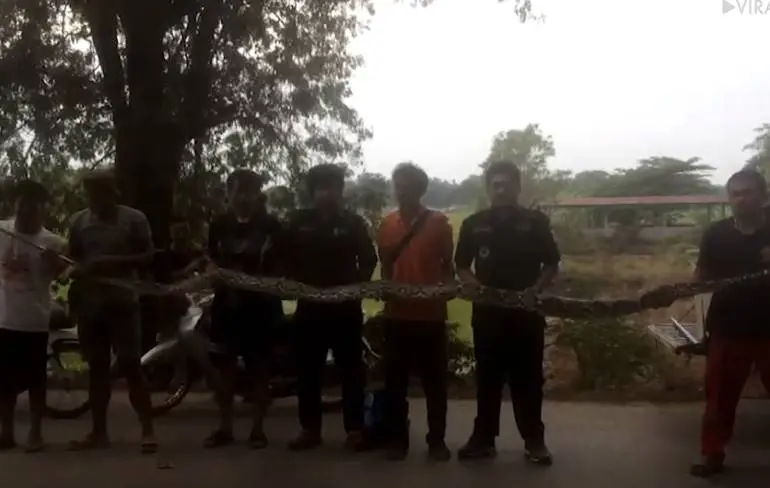 Ruim 5 meter aan nope rope gered in Thailand