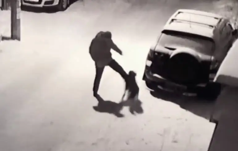 Karma is beste vriend van hond