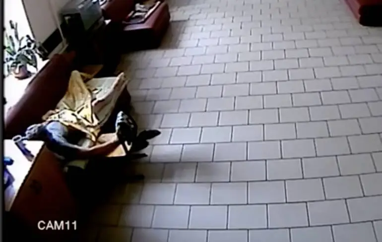 Bewaker van school slaat de hand aan zichzelf terwijl CCTV meekeek