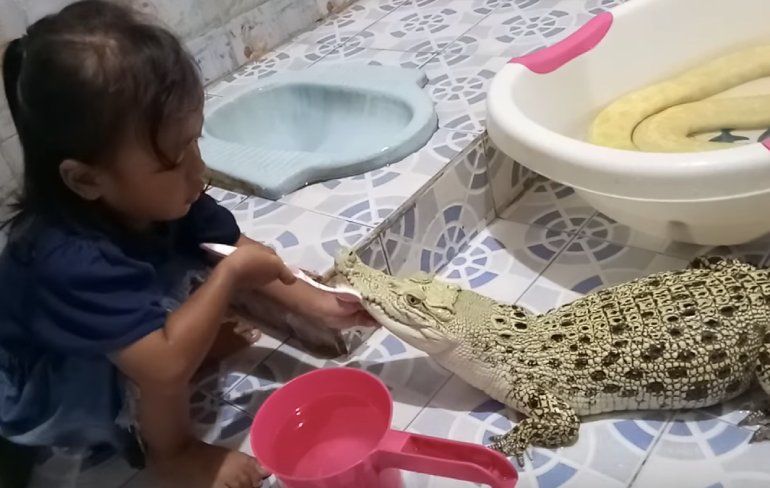 Meisje poetst even haar krokodil op