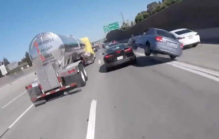 Koppeltje duiken op de snelweg