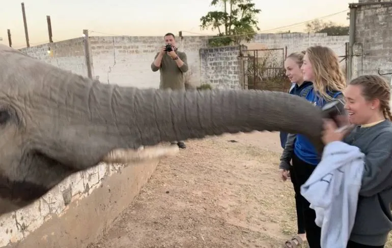 Olifant slaat dame met zijn slurf