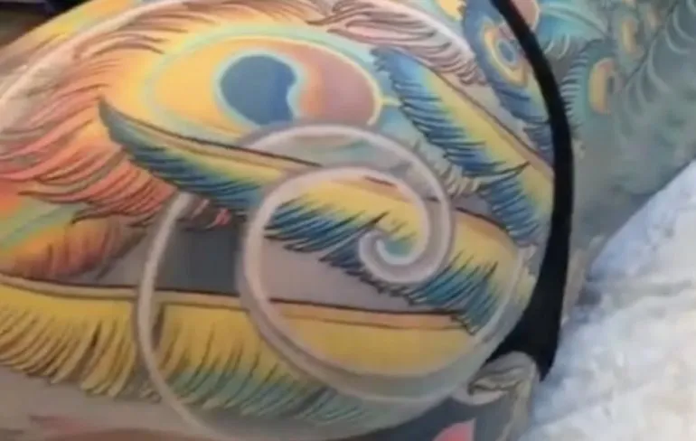 Prachtige pauw als fijn prikplaatje