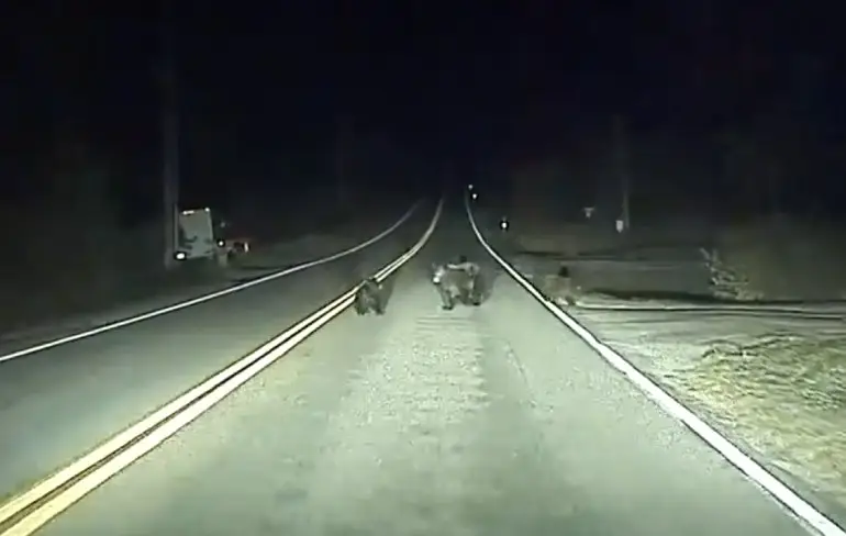 Autopilot van Tesla grijpt even in