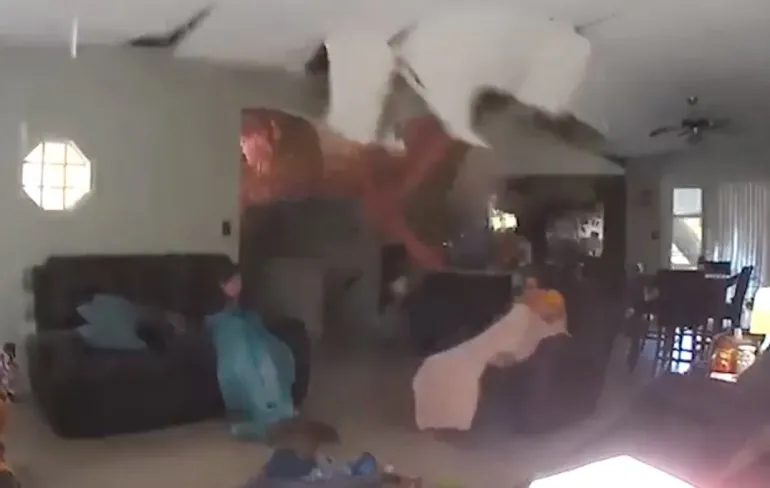 Tieners komen dankzij koelkast heel goed weg na omvallende boom