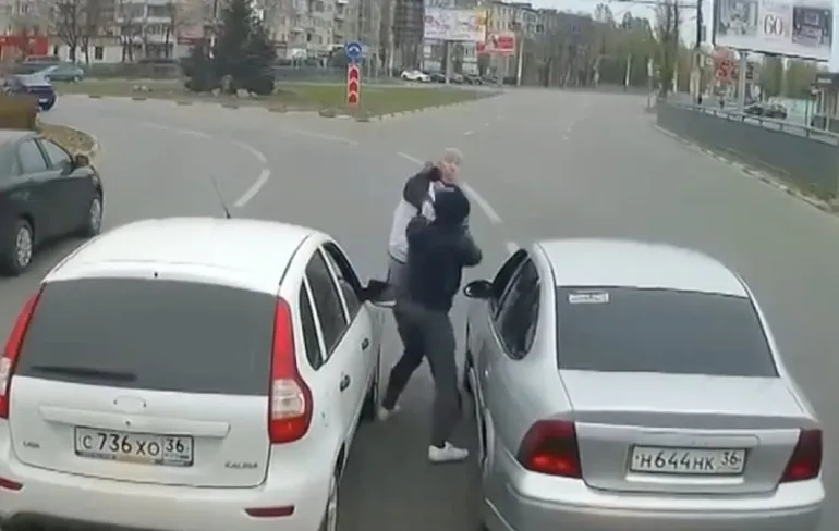 Olifant knuffelt moet Toyota in het Khao Yai National Park