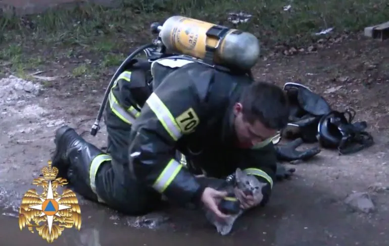 Brandweerman Andrei redt katje