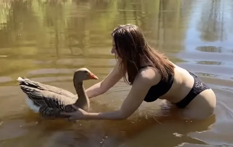 Meisje zwemt met gans genaamd Peter