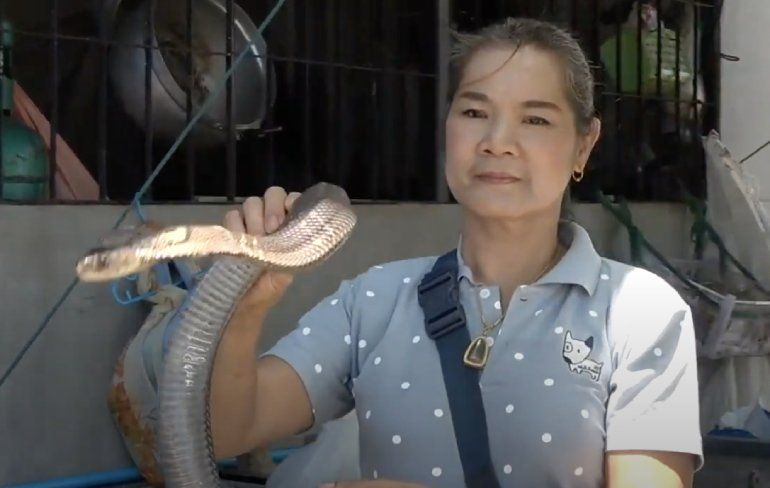 Thais restaurant heeft verse cobra op het menu staan
