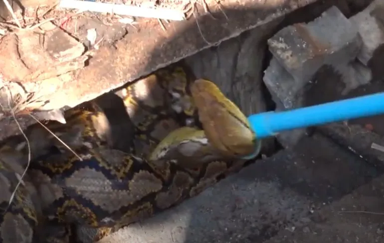 Passen uittellen en dan toch extra stapje doen