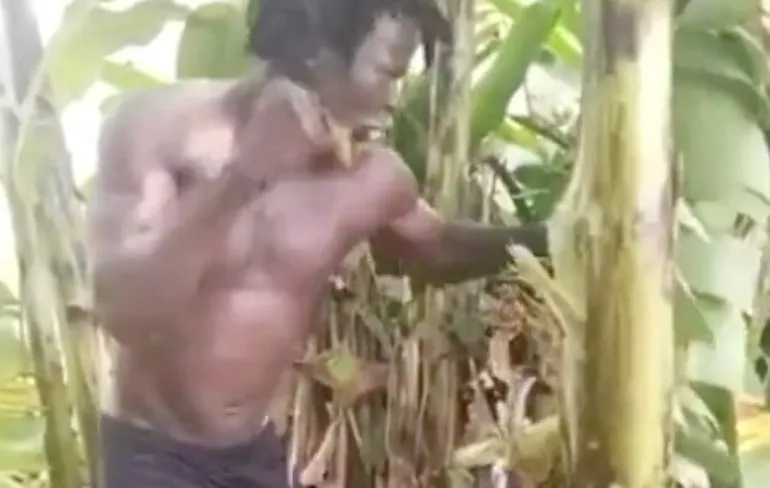 Man is zo te zien wel heel boos op bananenboom
