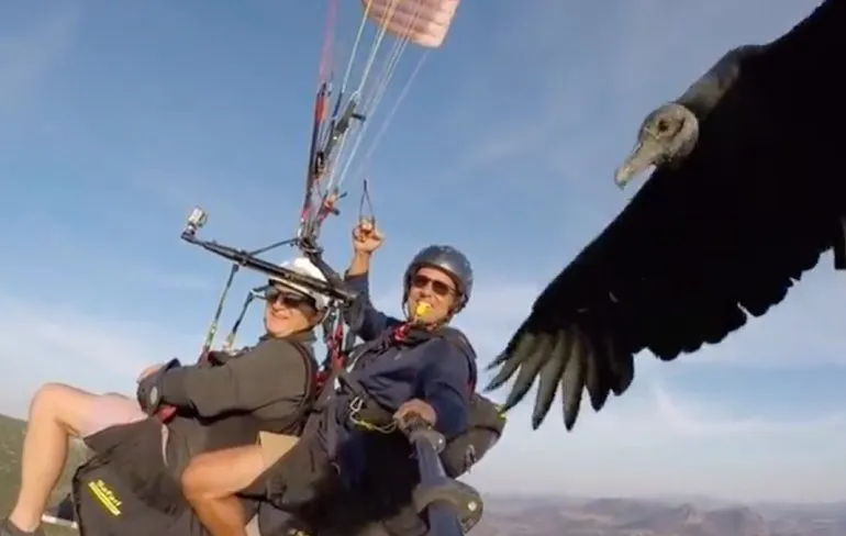 Als je een lifter krijgt tijdens het paragliden