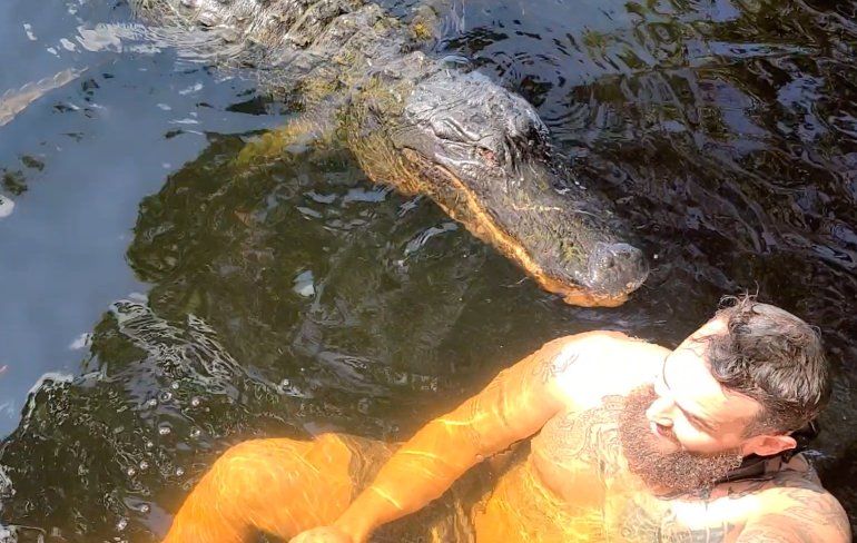 Florida Man had last van knabbelende alligator