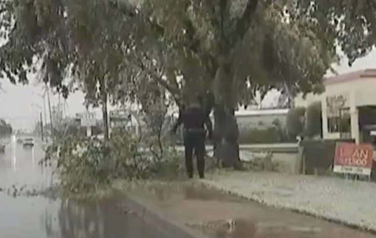 Agent verliest het van tak op hilarische wijze