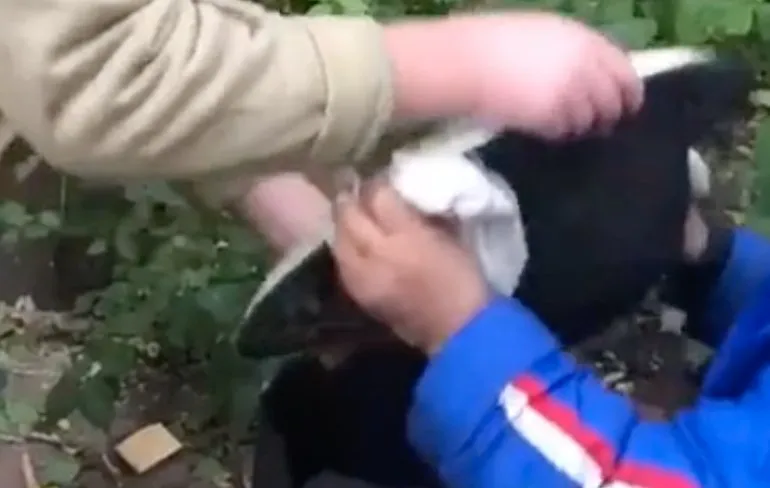 Lastig klusje, Pilav vanuit de pan op een bord krijgen