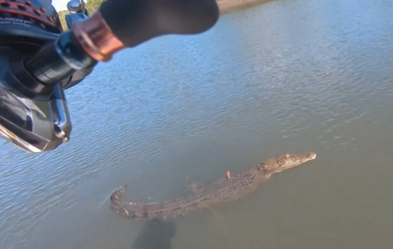 James sloeg een 2,5 meter lange zoutwaterkrokodil aan de haak