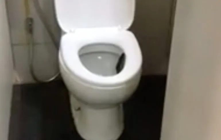 Sla dit Thaise toilet maar even over