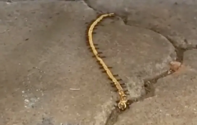 Nagelnieuwe Honda Fit eigenaar niet al te blij met winterweer