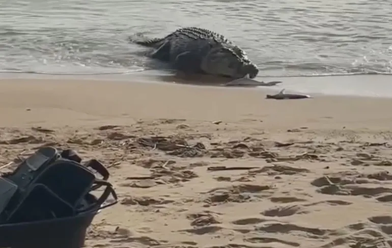 Australië, waar een meter of 4 aan zoutwaterkrokodil je haaitjes komt stelen