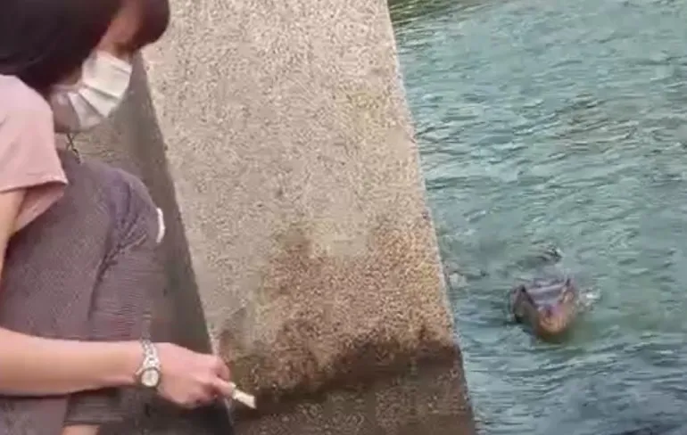 Varaan wil ook gevoerd worden en laat dat weten ook